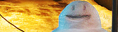 MANTA photostream