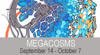 MEGACOSM by Stephen Seguin